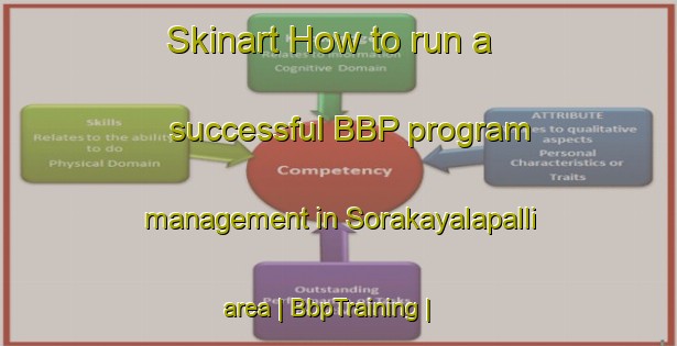 Skinart How to run a successful BBP program management in Sorakayalapalli area | BbpTraining | BbpClasses | SkinartTraining-India